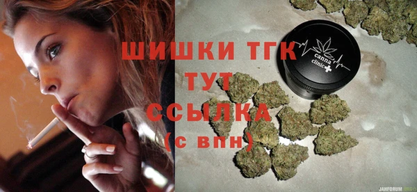 PSILOCYBIN Бежецк