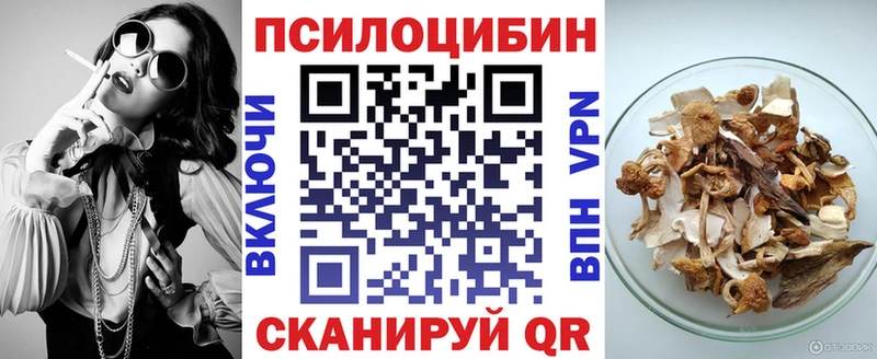 сайты даркнета официальный сайт Стародуб Псилоцибиновые грибы MAGIC MUSHROOMS