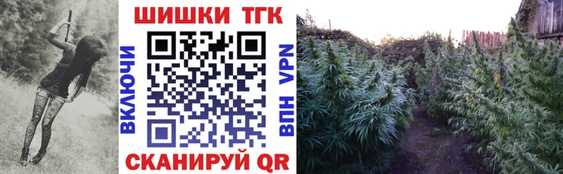 МАРИХУАНА MAZAR  как найти закладки  Стародуб 